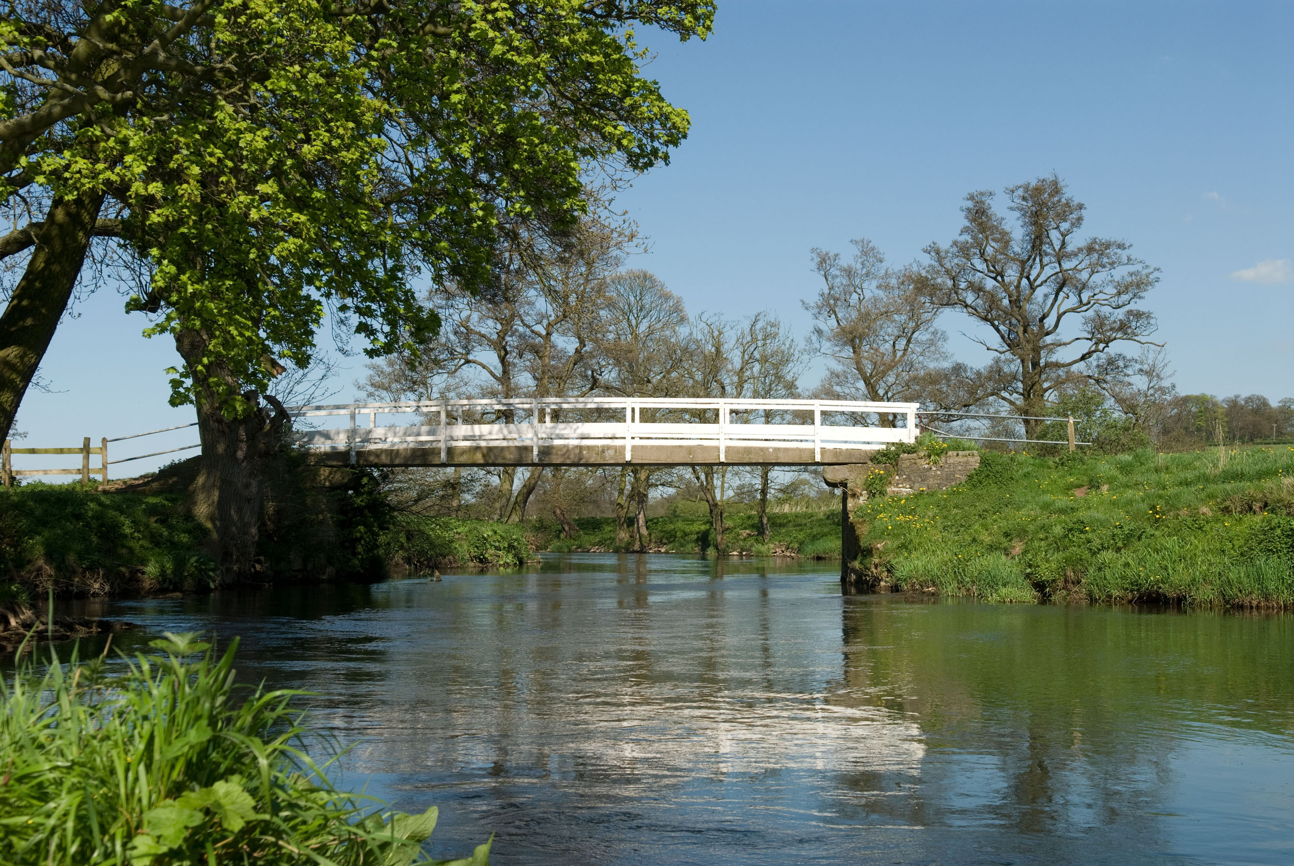 The River – The Birdsgrove Fly Fishing Club